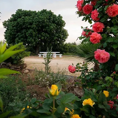 Giardino Isabella Palagiano