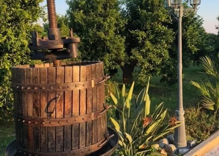 Alojamento de Acomodação e Pequeno-almoço Giardino Isabella Palagiano