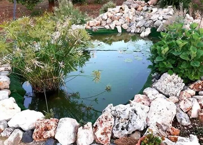 Alojamento de Acomodação e Pequeno-almoço Giardino Isabella
